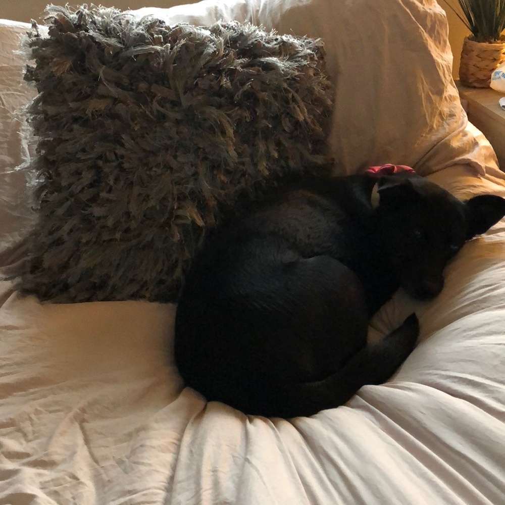 Textured Throw Pillow - Picture 2 of 4